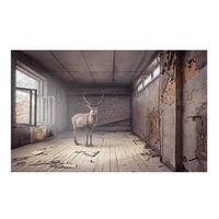 papel pintado 3d - perdido 450x280 cm
