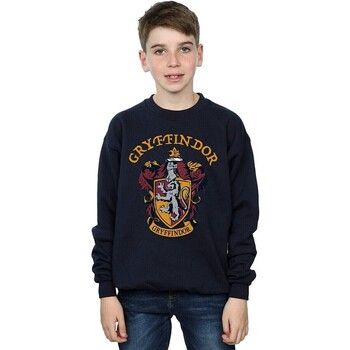 Harry Potter Jersey BI796 para niño