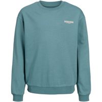 jack  jones jersey 12270143 jjstyd loose graphic sweat cneck ln jnr mineral blue para nino