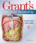 grants atlas of anatomy 15th ed
