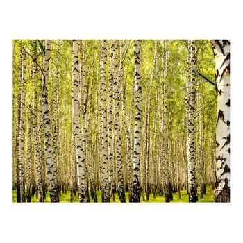 Papel Pintado 3d - Bosque De Abedules (300x231 Cm)