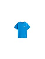 camiseta vans double standard ss bright azul nino