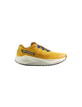 Zapatillas de Running Salomon Aero Blaze 3 Grvl Spicy Mustard/Vanill Hombre
