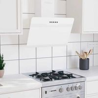 campana extractora pared acero y vidrio templado blanco 60 cm cfw16078