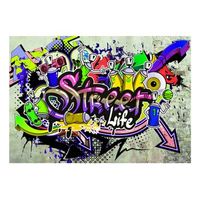 papel pintado 3d - colourful cooperation 150x105 cm
