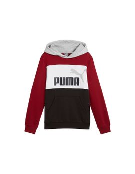 Sudadera Puma Essentials Block Hoodie Fl Niño