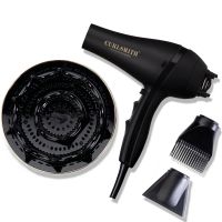 curlsmith defrizzion dryer