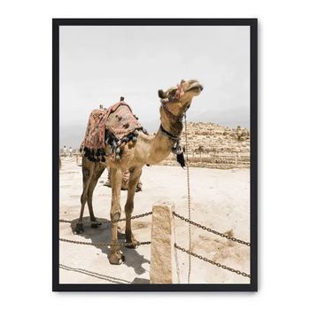 Cuadro Camel In Egypt Ii