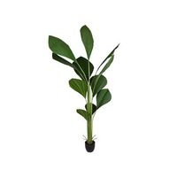 maceta licuala pvc artificial