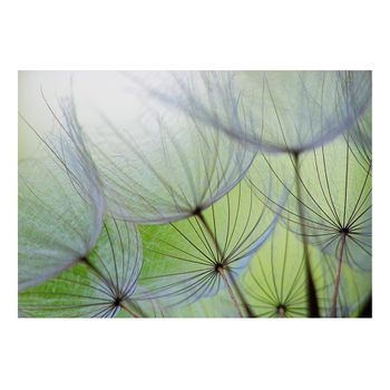 Papel Pintado 3d - Momentos Fugaces (350x245 Cm)