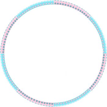 Hula Hoop Aro de fitness Profesional para Adulto de Gimnasio 6 Secciones Desmontable, Tubo de Acero Inoxidable, Cubierta con Goma Espuma, Ahuecado por Dentro para Rellanar Peso, Hasta 4 Kg Aro