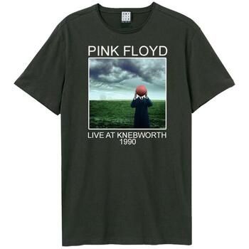 Amplified Clothing Camiseta Knebworth para hombre
