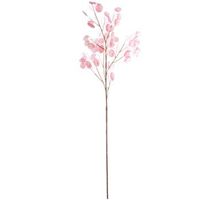 set 6 ramas lunaria rosa