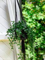 colgador para plantas de algodon negro mediano