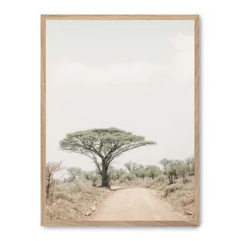 Cuadro Tree In The Savana I