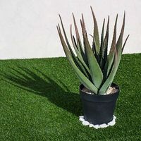 cactus artificial aloe 81 cm nortene