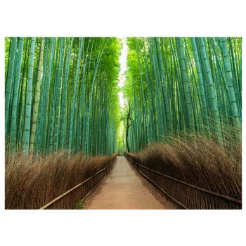 Impresión en lienzo - arashiyama bamboo forest - cm.70x100