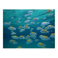 papel pintado 3d - paisaje submarino del caribe 400x309 cm