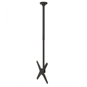 NewStar Soporte de Techo para TV 37