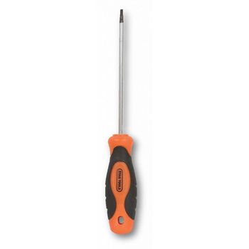 T Star Individual Screwdriver T25 x 100mm