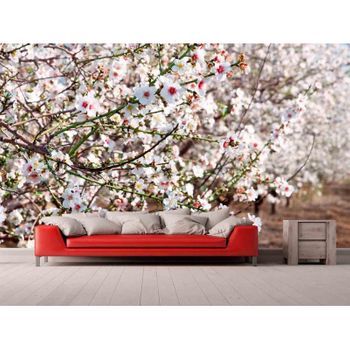 Fotomural Vinilo Almendro Floreciendo 500 X 300 Cm