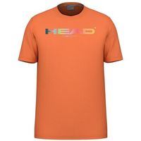 head camiseta rainbow para hombre