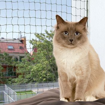 Trixie Bite Resistant Cat Net - Olive - 8 x 3 m