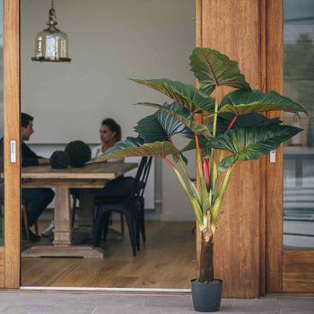 Planta Artificial Arcoiris 170 Cm Nortene