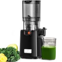 linkchef extractor de zumos 250 w boca xxl de 130 mm prensado lento en frio capacidad 18 l sin bpa