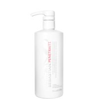 sebastian professional penetraitt repair masque for damaged hair 500ml
