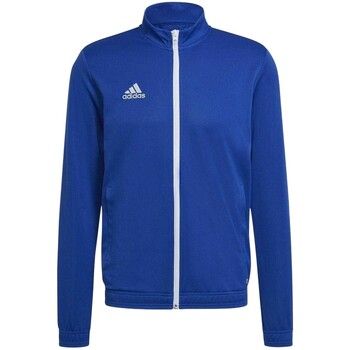 adidas Chaqueta deporte Entrada 22 para hombre