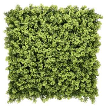 Estera Vegetal / De Pared / Jardín Vertical Leafluxe 3 50x50 Cm Verde Hjh Living