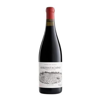 Telmo Rodríguez Vino Tinto Pegaso Arrebatacapas Cebreros 75 Cl 14.5% Vol.