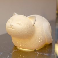 3d ceramic smiley cat lamp