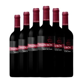 Freixenet Vino Tinto Valdubón Ribera Joven 75 Cl 13.5% Vol. (pack De 6 Unidades)