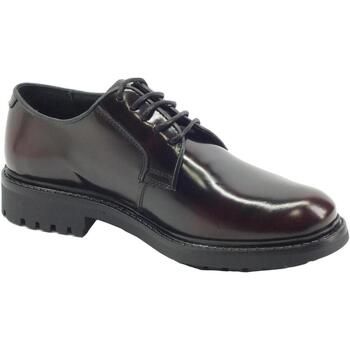 Franzini Zapatos Bajos Sire 10037 Splendor para hombre