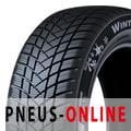 Champiro Winterpro 2