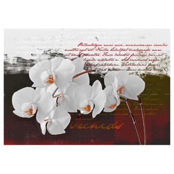 Papel Pintado 3d - El Diario Y La Orquídea (200x140 Cm)