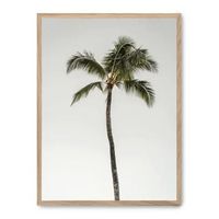 cuadro palm tree by the beach