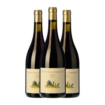Cámbrico Vino Tinto Viñas Miranda Vino 75 Cl 13.5% Vol. (pack De 3 Unidades)