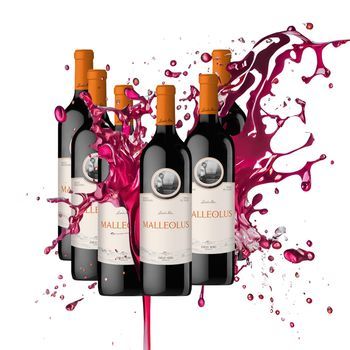 Emilio Moro Malleolus - Tempranillo - Do Ribera Del Duero - Vendimia - Cr - Pack 6 Botellas 75 Cl - 14% Vol.