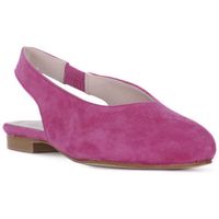 priv lab bailarinas kammi camoscio fuxia para mujer