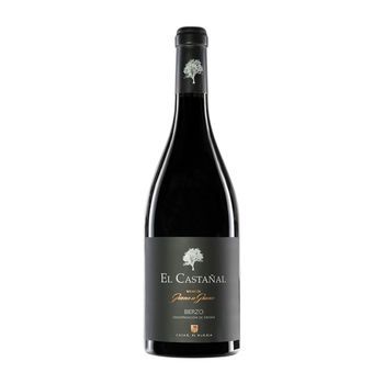 Casar De Burbia Vino Tinto El Castañal Bierzo Crianza 75 Cl 14.5% Vol.
