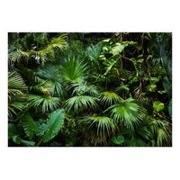 papel pintado 3d - sunny jungle 250x175 cm