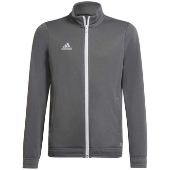 adidas Chaqueta Entrada 22 para niño