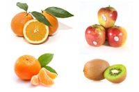 mix diabeticos