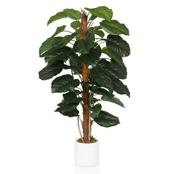 Planta Artificial Epipremnum Verde Hjh Office