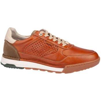 Pikolinos Zapatillas DEPORTIVOS para hombre