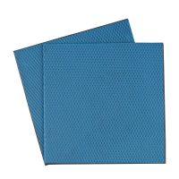 parche termico thermal grizzly minus pad advance 100x100 mm 2 mm 2 piezas