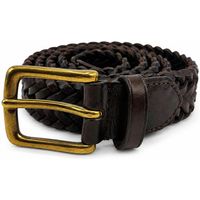 dragon alliance cinturon 9play polo tip 3cm para mujer